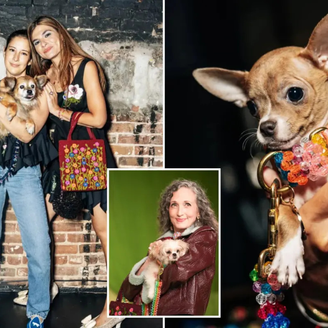 New Fashion Week Requirements Mandate That All Models Must Be Adorable Puppies